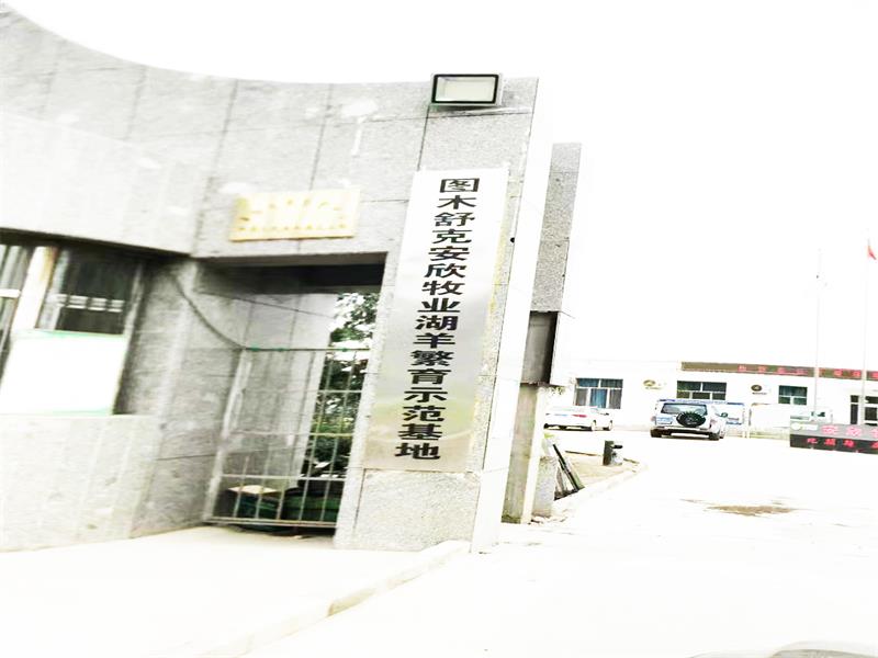 圖木舒克安欣牧業(yè)